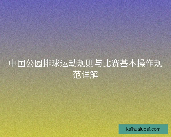 中国公园排球运动规则与比赛基本操作规范详解